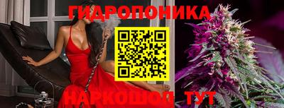 spice Тверь