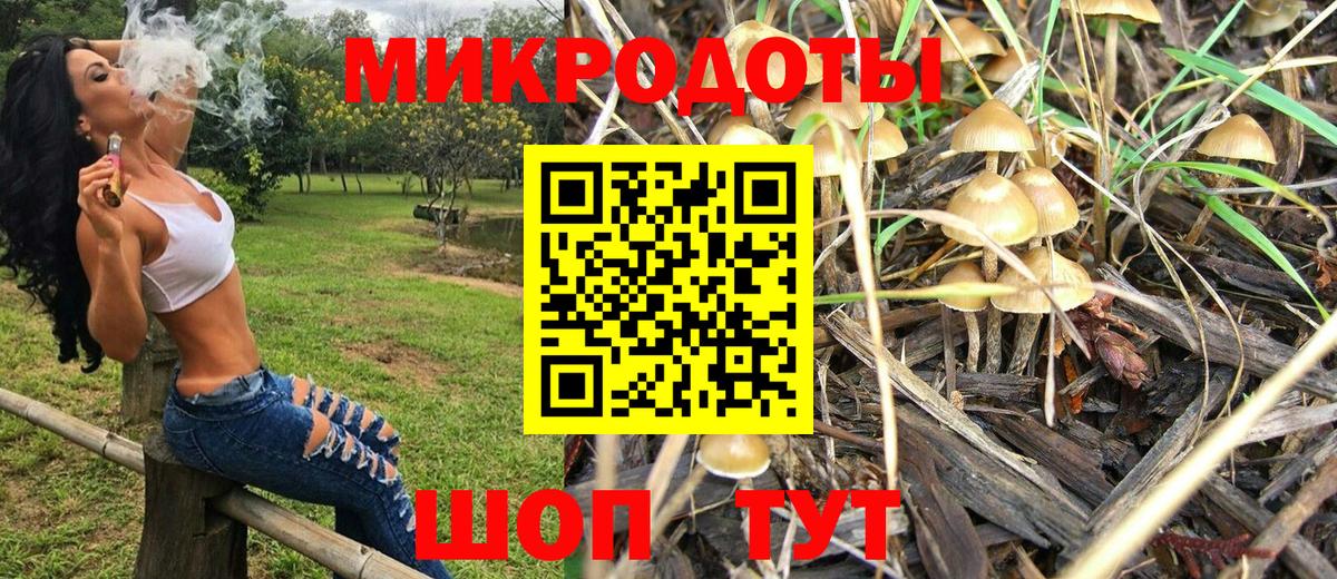продажа наркотиков  Псилоцибиновые грибы мицелий  Псилоцибиновые грибы ЛСД  Вход с VPN  Нововоронеж 
